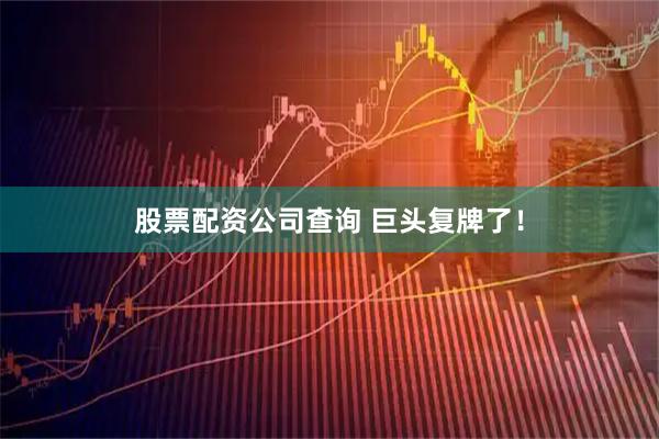 股票配资公司查询 巨头复牌了！