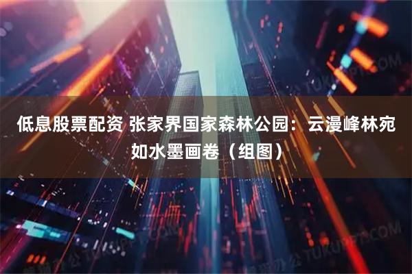 低息股票配资 张家界国家森林公园：云漫峰林宛如水墨画卷（组图）